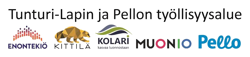 Tunturi-Lapin ja Pellon työllisyysalue2